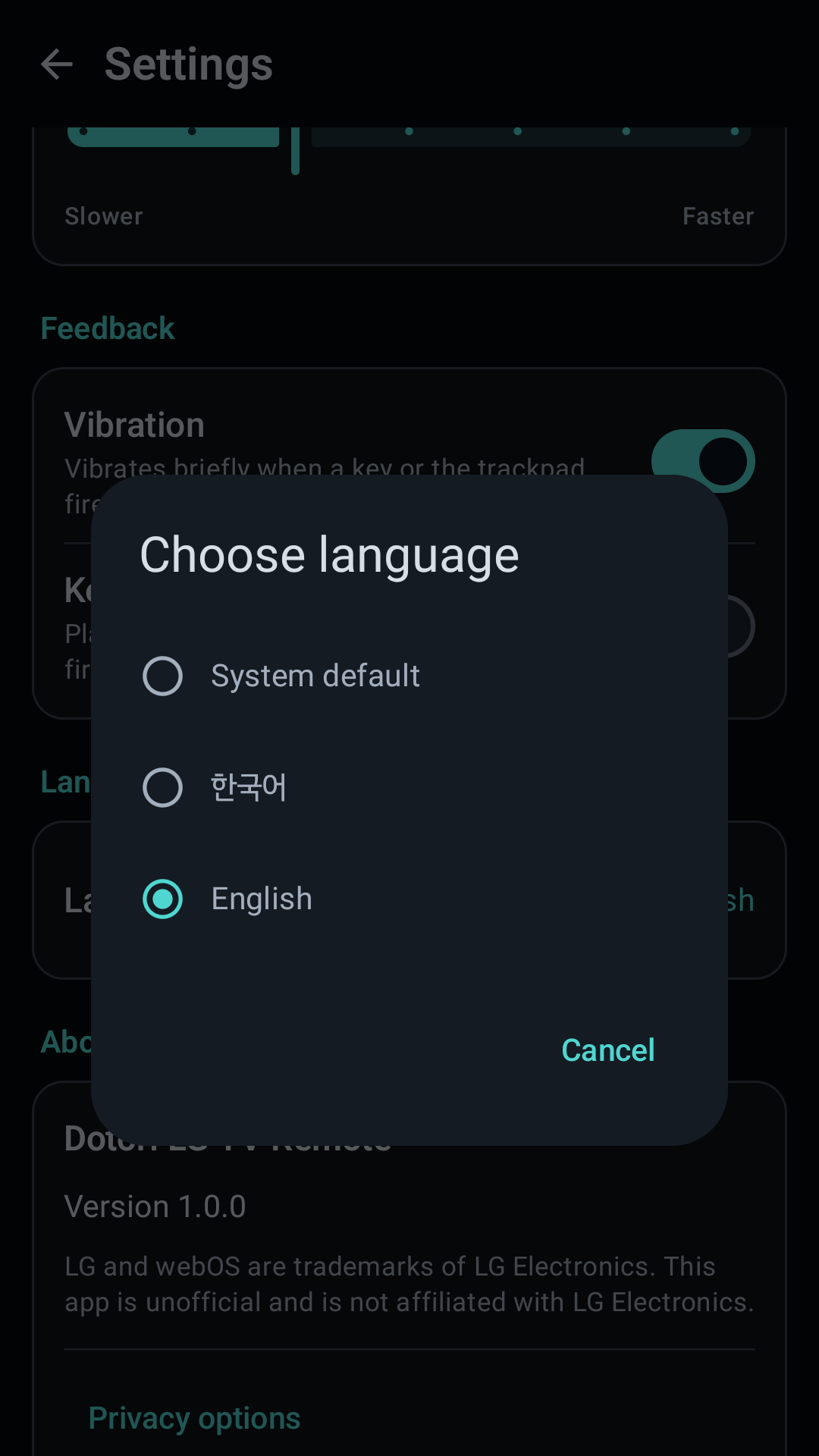 LG TV remote language selection